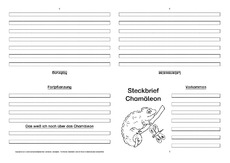 Chamäleon-Faltbuch-vierseitig-1.pdf